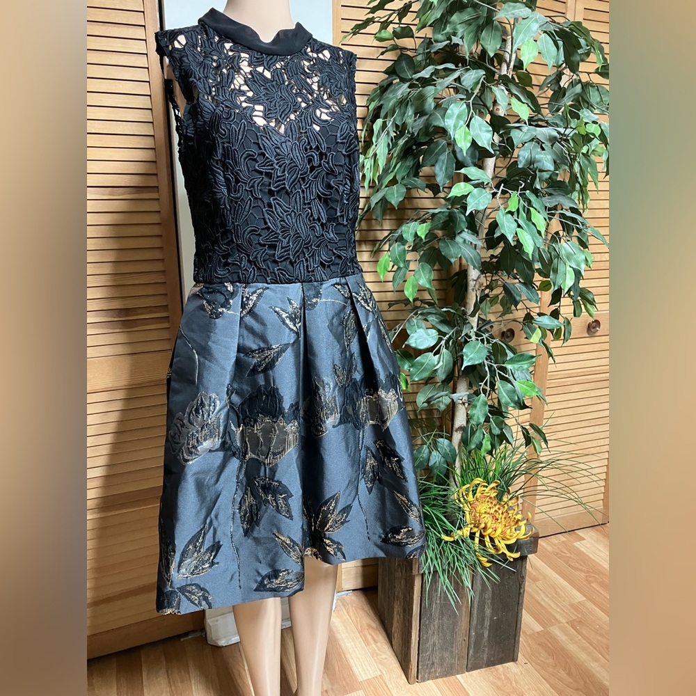 Hutch Black Floral and Lace Brocade Dress